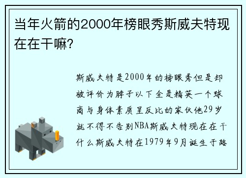 当年火箭的2000年榜眼秀斯威夫特现在在干嘛？