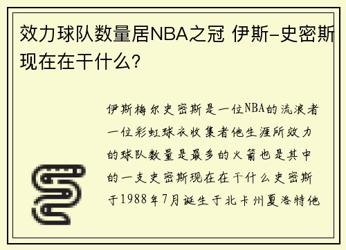 效力球队数量居NBA之冠 伊斯-史密斯现在在干什么？
